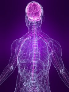 Hypnotherapy has a huge affect on the human Nervous System